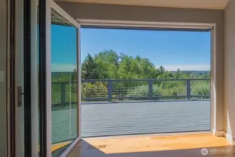Doors to deck fold down like an accordian