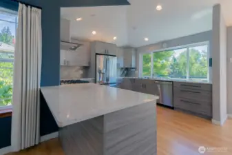Remodeled fancy kitchen