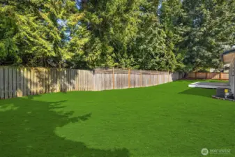 Backyard grass is seeded and will grow in