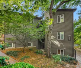 End Unit offers pure privacy.