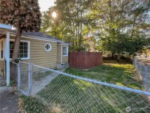 Fully-fenced yard with a big apple tree