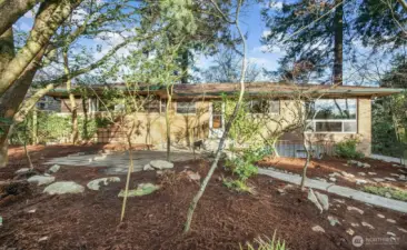 This backyard is a plant enthusiast's dream come true!