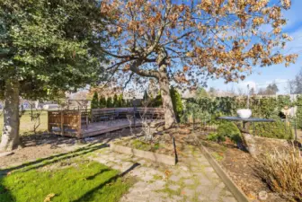 Picnic deck under the pin oak tree