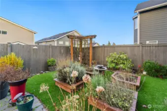 Raised Garden beds w/artificial turf