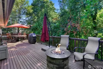 Lots of room to enterain guests in the spring, summer and early fall.