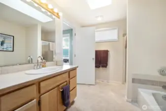 The primary bathroom complete with shower and bathtub.