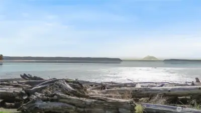Mt Rainier can be seen from your own backyard!