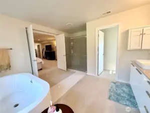 Another view of the primary 5-piece with water closet.