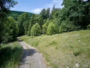 Driveway to homesite