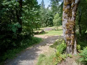 Driveway to homesite