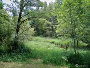 Path to Creek