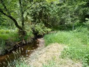 Creek