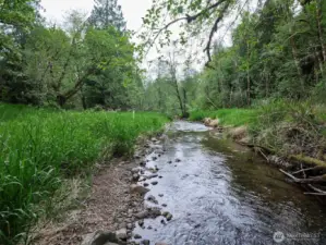 Creek Frontage