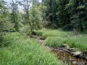 Creek