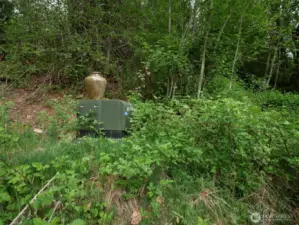 Power pedestal at homesite