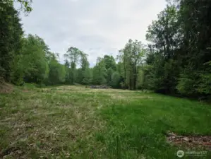Flat useable homesite