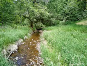 Creek