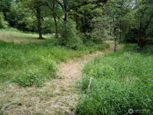 Pathway