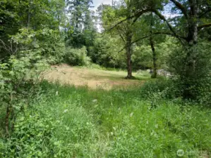 Homesite