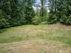 Homesite