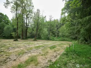 Homesite