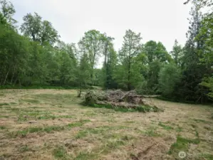 Homesite