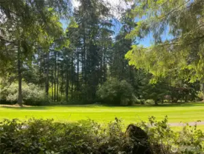 Beautiful golf Course Lot!