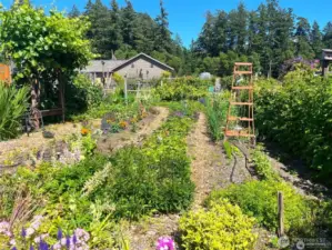 Anderson Island Community Gardens