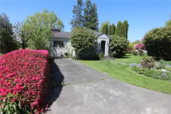 Classy flowery hedge forms a boundary to provide a very nice setting for this 1951 classic mid Century Modern home