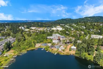 City of Bellevue in the background.