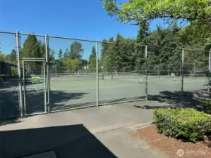 Park Tennis Courts