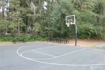 Rosedale Hall Basketball Court