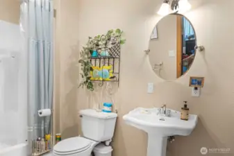 Lower Level Bathroom