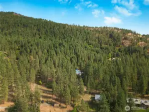 Peaceful, wooded hillsides around home