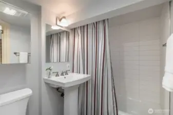 The full guest bath on the lower level.