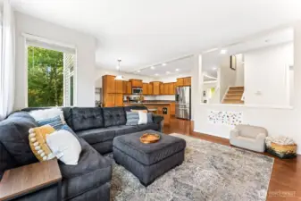 Main Living Area