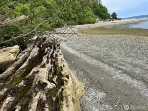 Miles of pristine beaches