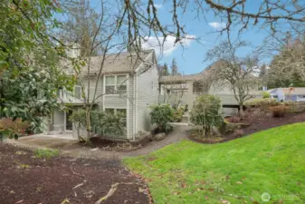 Side yard of building