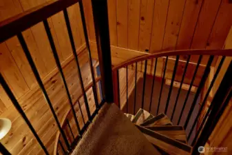 Spiral Staircase to lower level daylight basment
