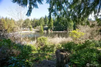 Views of Lake Bullard - So PEACEFUL!