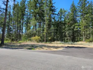 Paved road access to your level prime building lot