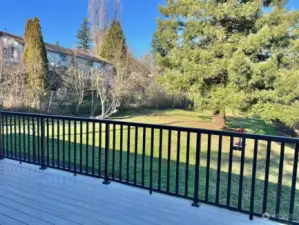 Backyard - nearly a half acre to garden, relax or play!