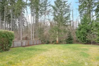 Another perspective of the backyard, offering plenty of space for recreation and relaxation.