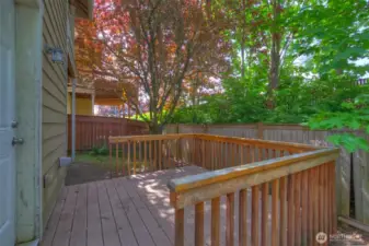 Deck of of kitchen