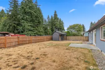 Turn on the sprinklers and watch this backyard green up again!