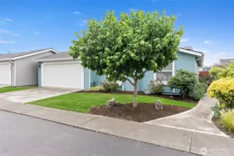 HOA takes care of front yard maintenance