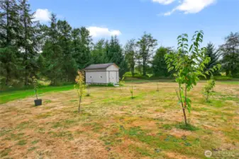 Self-pollinating orchard and shed