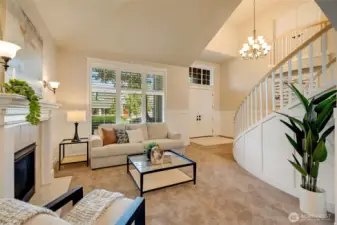 Elegant plantation shutters throuthout