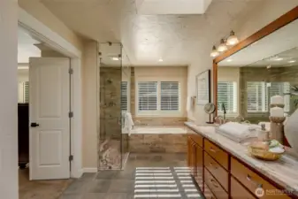 Luxurious updated primary bath