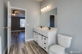 Primary bath, cont.